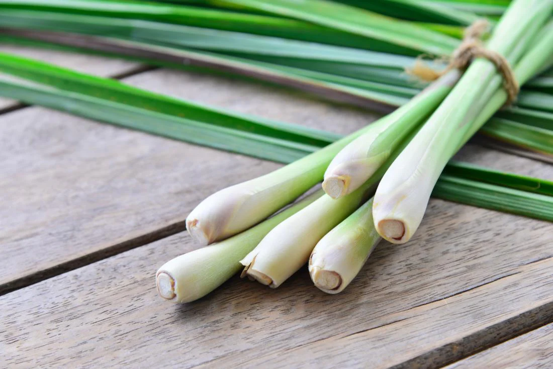 Indian Herbs