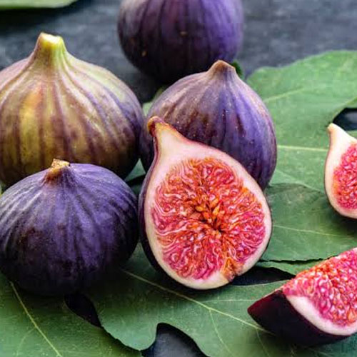 Figs